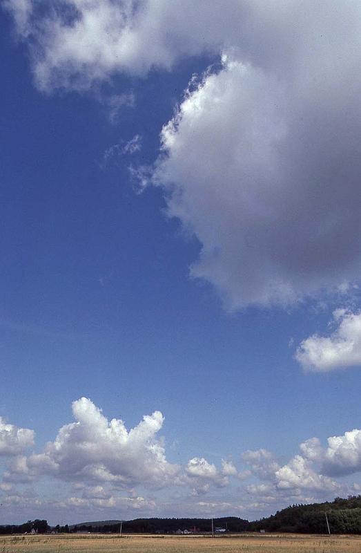 WT 3500 373-04 Sweden.jpg